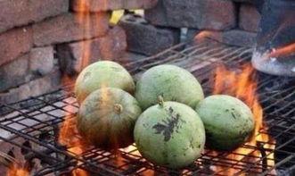 各个系吃瓜,各系吃瓜大揭秘