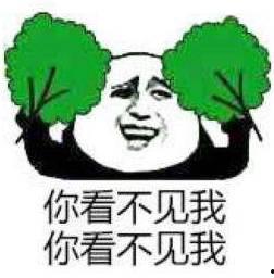 吃瓜群众看烟花的图片,全民共享欢乐时光