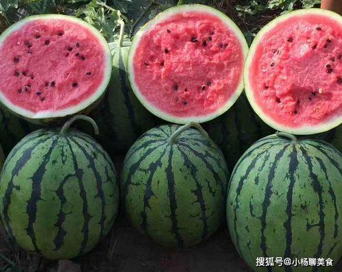 吃瓜群众看烟花的图片,全民共享欢乐时光