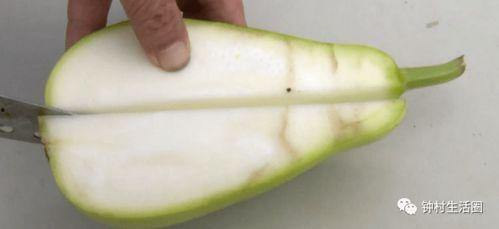 广东人吃的毛瓜是什么瓜,揭秘其独特风味与食用文化