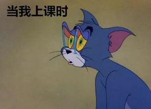 吃瓜心情句子,品味生活，畅享吃瓜心情