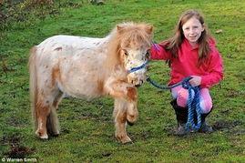 许诺吃瓜小马,揭秘网络红人的瓜田奇遇