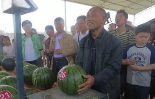 邵阳吃瓜群众案件,网络舆论下的法律边界与道德拷问