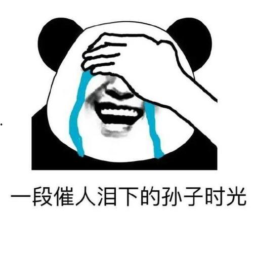 成都吃瓜娃子事件,网络热议背后的真相与反思