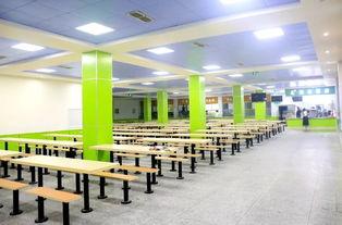 托普学校吃瓜,揭秘校园里的“瓜田”风云