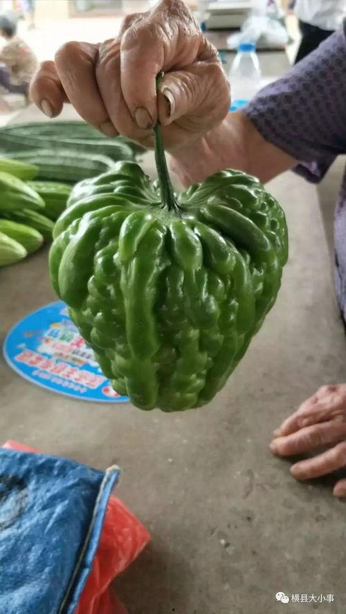 爆爆吃瓜友,揭秘娱乐圈幕后故事