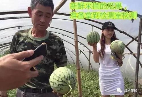 纽约吃瓜直播,一场别开生面的吃瓜盛宴