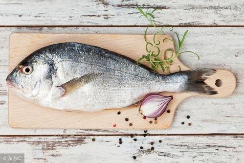 吃瓜小熊鱼,吃瓜小熊鱼的趣味食旅记