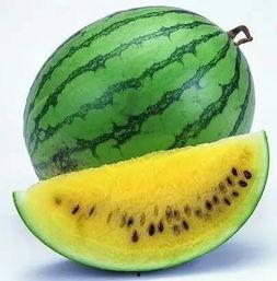 10种吃瓜方式,十种趣味盎然的吃瓜技巧大盘点