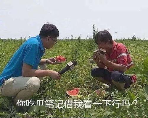 吃瓜三观,吃瓜群众视角下的社会百态
