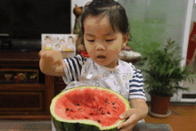 吃瓜三观,吃瓜群众视角下的社会百态