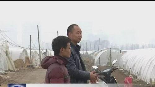 理性吃瓜劝导主任,远离是非漩涡——劝导主任的智慧指南