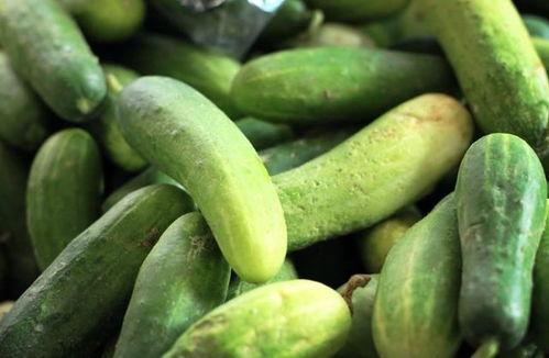 天天坚持吃瓜,追踪娱乐圈新鲜事