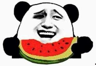 吃瓜群众楠楠,揭秘娱乐圈那些事儿