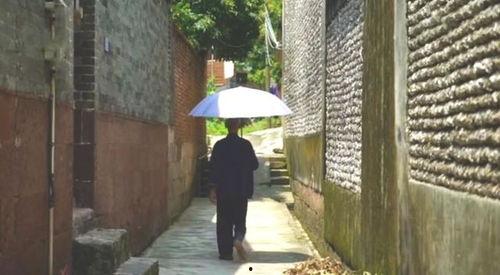 羊村吃瓜事件,揭秘背后真相与网络舆论风暴