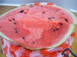 白糖吃瓜比赛,白糖吃瓜大赛，看谁瓜量惊人