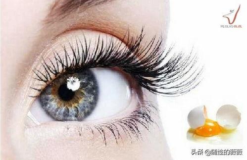 昆明睫毛吃瓜,揭秘网红美食背后的“吃瓜”故事