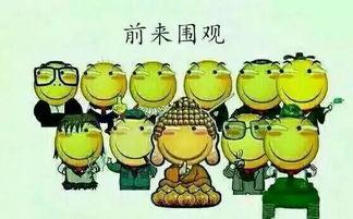 吃瓜群众加仓,市场热度再升温