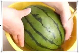 放水里吃瓜,一场别开生面的夏日美食体验