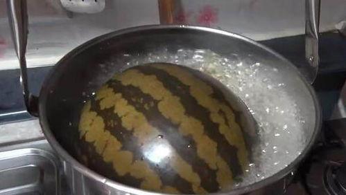 放水里吃瓜,一场别开生面的夏日美食体验