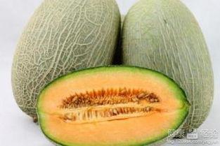吃了著条可以吃哈密瓜吗,探索食物搭配的奇妙之旅