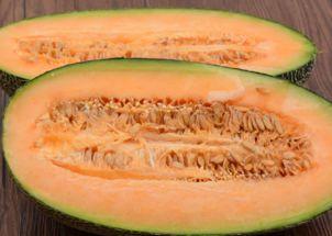 吃了著条可以吃哈密瓜吗,探索食物搭配的奇妙之旅