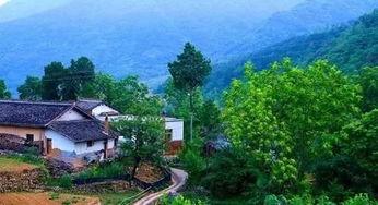 吃瓜秦岭,吃瓜群众眼中的生态秘境