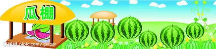 瓜棚吃瓜图片