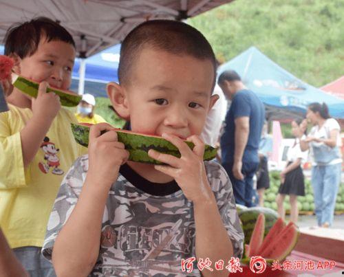 上朝吃瓜骑猪,上朝吃瓜骑猪的趣味朝堂轶事