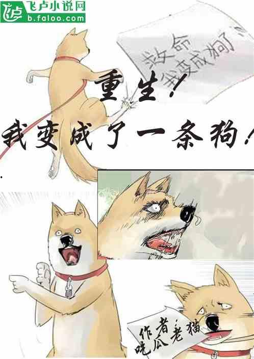 吃瓜惹事小说在线阅读