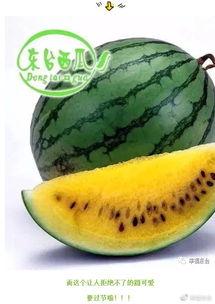 市瓜 怎么吃