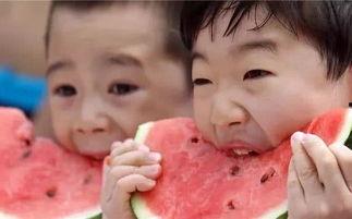 日本采访吃瓜,揭秘吃瓜群众的趣味生活