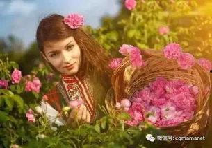 吃果瓜的人童话