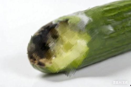 广西吃瓜吃出病毒,警惕瓜果安全卫生问题