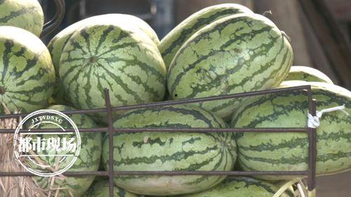 吃瓜批发商,揭秘吃瓜批发商的生意经