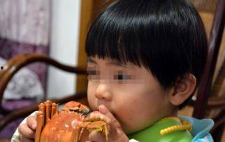 带你吃瓜螃蟹大战,带你领略螃蟹大战的惊心动魄