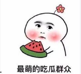 吃瓜相亲文案搞笑短句,笑料百出！吃瓜相亲文案搞笑短句大盘点