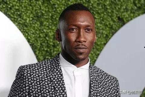 吃瓜视频老哥,带你领略网络红人的魅力与争议