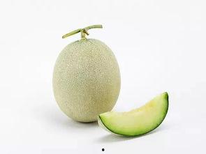 吃同事瓜,揭秘同事间的“甜蜜”瓜料