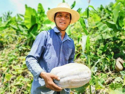 靠吃瓜救国,揭秘“吃瓜救国”背后的传奇故事