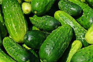 梦夜吃瓜,揭秘娱乐圈背后的秘密与真相