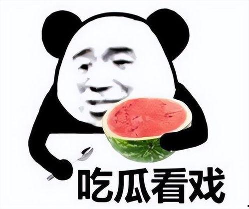 潇洒吃瓜酱,揭秘娱乐圈幕后故事