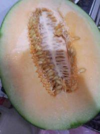 韩国吃冰冻哈密瓜,冰冻哈密瓜在韩国的夏日新宠