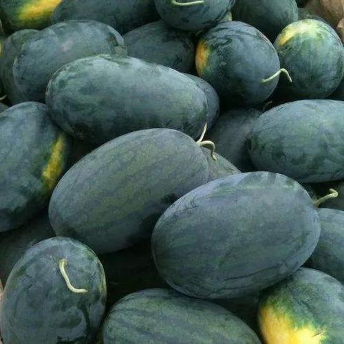 钰宝吃瓜,揭秘娱乐圈幕后故事