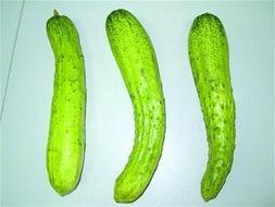 畸形瓜怎么吃,化腐朽为神奇