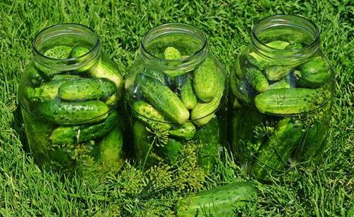 吃瓜每日热点,今日热点事件盘点