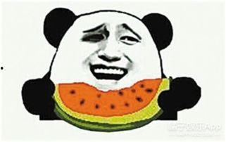 吃瓜群众小蓝鸟