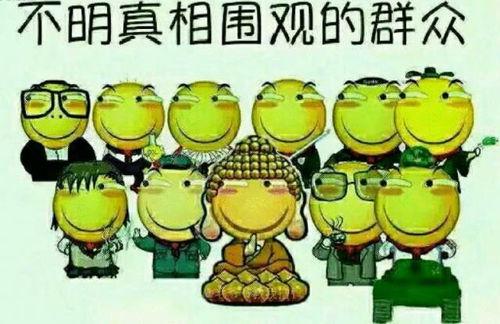 吃瓜群众小蓝鸟