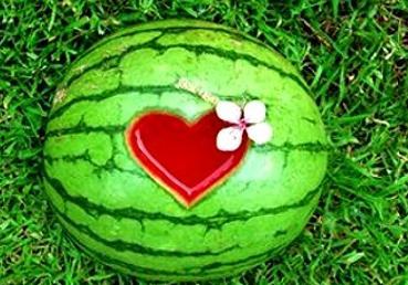 梦到别人给我吃瓜,瓜果飘香，共享神秘梦境之谜