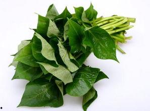 月子期间土瓜可以吃吗,月子期间适宜食用土瓜的注意事项